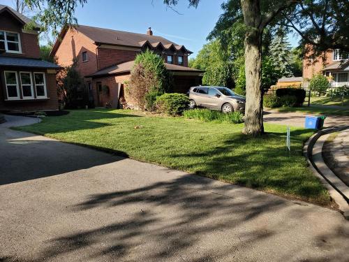 18 - Front yard sod after
