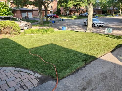 19 - Front yard so after