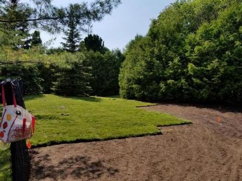 2021-1a2-Large-backyard-sod-installation-before