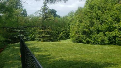 2021-1a3-Large-backyard-sod-install-after