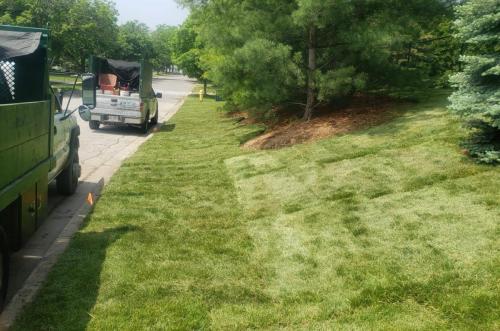 2021-1a4-Large-corner-lot-sideyard-sod-installation-in-Whitby