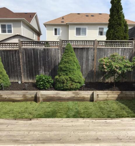 2021-1b2-Sod-install-beside-garden-wall-after