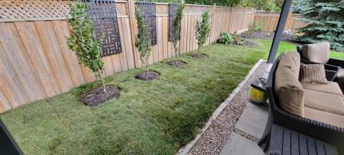 2021-Backyard-sod-project-in-Brooklin