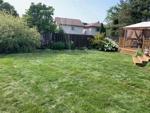 2021-Completed-sod-project-in-backyard-around-mature-gardens-in-Ajax