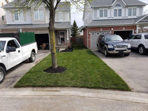 2021-Cooperation-between-neighbours-in-Brooklin-to-re-sod-shared-front-lawn