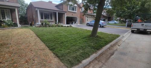 2021-Drought-parched-front-lawn-replaced-with-new-sod-in-Whitby