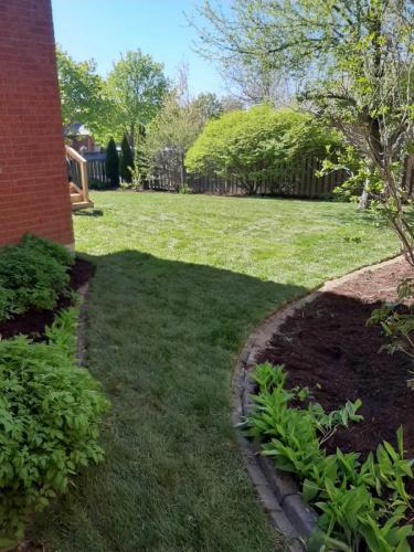 2021-Seamless-sod-installation-around-existing-landscape-in-backyard-in-Whitby
