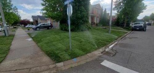 2021-Sod-installation-working-around-inground-irrigation-system