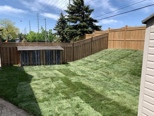 2021-Sod-on-backyard-hill-in-Pickering