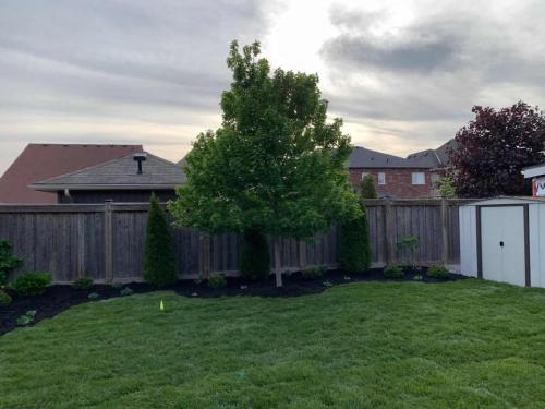 2021-d2-Completed-sod-project-in-backyard-around-inground-sprinkler-system