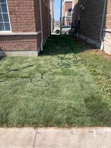 2021-e2-After-sod-at-side-of-townhouse-in-new-residential-neighbourhood-in-Ajax