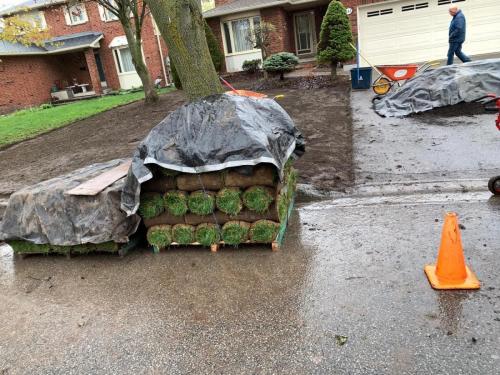 2021-g2-Sod-delivery-in-the-rain-tarped-and-awaiting-installation-in-Oshawa