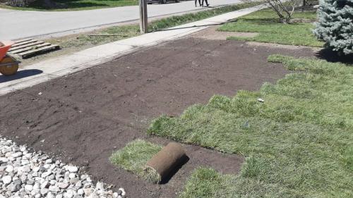 2021-h2-Sod-rolls-carefully-laid-on-front-lawn-in-Oshawa