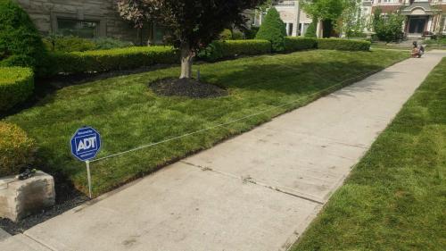 2021-i1-Large-corner-lot-sod-installation-in-Whitby-around-existing-gardens-trees-and-landscaping