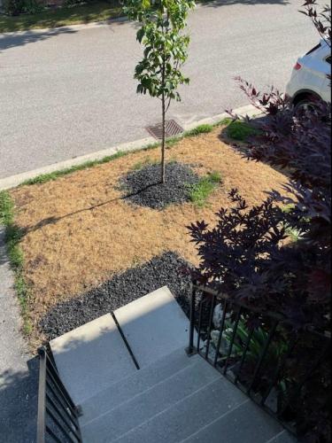 2021-j1-Before-sod-at-townhome-in-Ajax