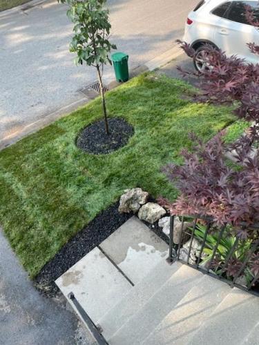 2021-j2-After-sod-completion-of-front-yard-in-townhouse-complex-in-Ajax