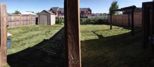 2021-m1-After-completion-of-neighbouring-backyard-sod-projects-in-Courtice