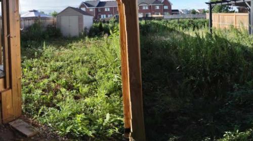 2021-m1-Neighbours-both-needing-a-backyard-overhaul-in-Courtice