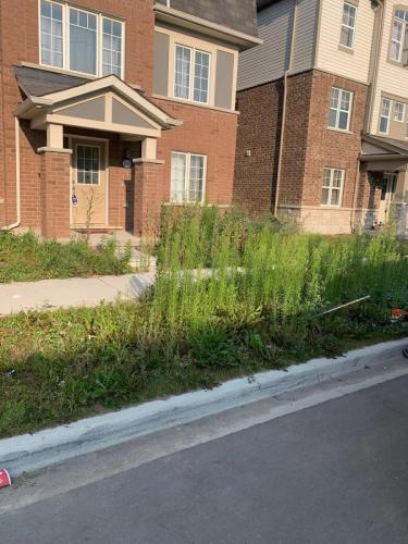 2021-o1-Before-view-of-weedy-front-lawn-and-city-property-at-townhome-in-Pickering