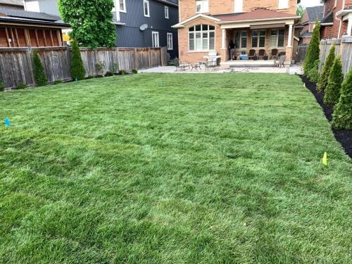 2021-q2-After-completing-sod-installation-of-large-backyard-in-Whitby