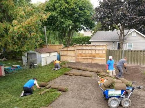 2021-t7-Working-on-a-large-scale-sod-project-in-backyard-of-a-newly-renovated-duplex-for-sale-in-Whitby