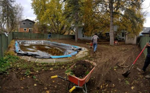 2021-u2-Working-to-remove-the-old-lawn-on-a-backyard-sod-project-in-Whitby-around-a-pool-in-late-fall