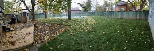 2021-u7-After-completion-of-a-backyard-sod-project-in-Whitby-around-a-pool-in-late-fall