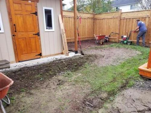 2021-v3-Working-to-remove-a-backyard-lawn-at-a-sod-project-in-Whitby-Shores-in-Autumn