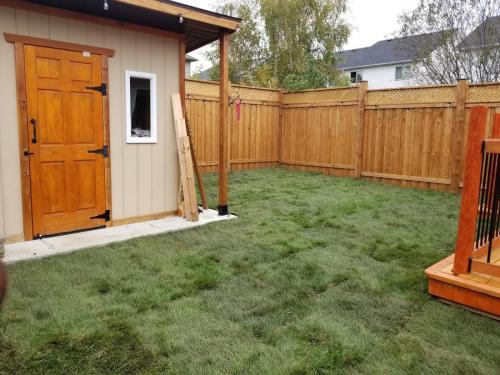 2021-v4-After-a-new-backyard-lawn-installed-at-a-sod-project-in-Whitby-Shores-in-Autumn
