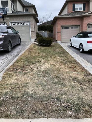 2021-x1-Before-sod-install-between-two-homes-in-Whitby