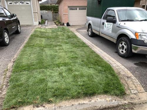 2021-x2-After-sod-installed-between-two-homes-in-Whitby