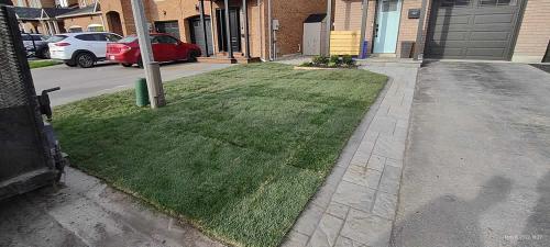2023-Sod-Turf-10-Whitby-Landscaping