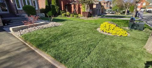 2023-Sod-Turf-11-Whitby-Landscaping