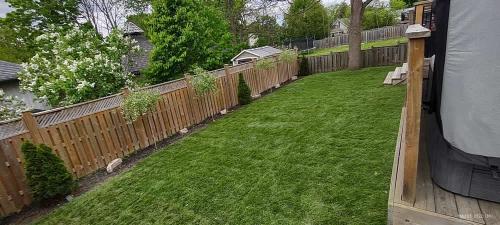 2023-Sod-Turf-17-Whitby-Landscaping