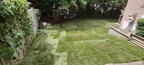 2023-Sod-Turf-20-Whitby-Landscaping