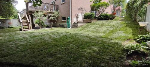 2023-Sod-Turf-21-Whitby-Landscaping