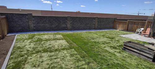 2023-Sod-Turf-23-Whitby-Landscaping