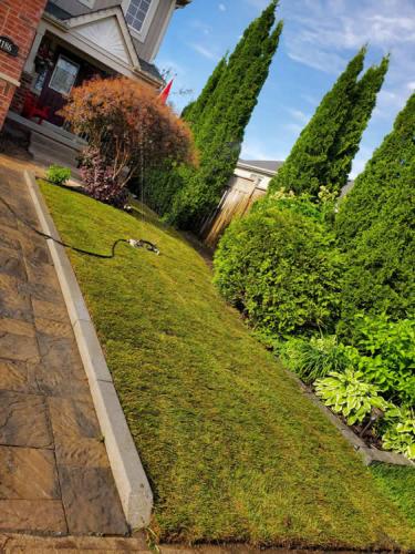 2023-Sod-Turf-26-Whitby-Landscaping