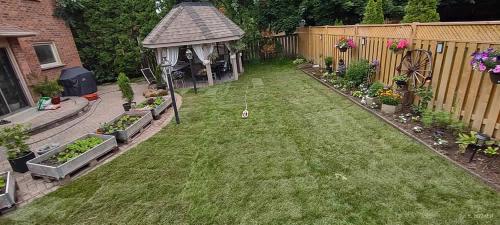 2023-Sod-Turf-27-Whitby-Landscaping