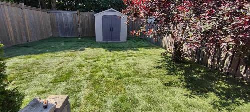 2023-Sod-Turf-32-Whitby-Landscaping