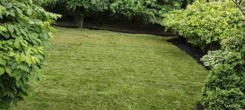 2023-Sod-Turf-35-Whitby-Landscaping