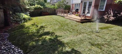 2023-Sod-Turf-36-Whitby-Landscaping