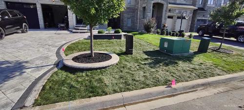 2023-Sod-Turf-44-Whitby-Landscaping