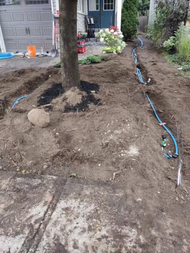 2023-Sod-Turf-45-Whitby-Landscaping