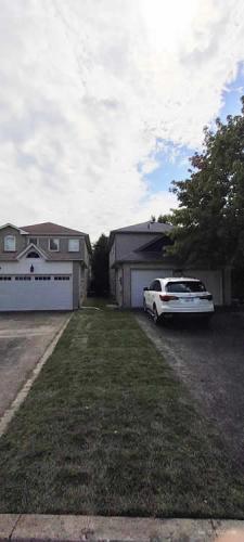 2023-Sod-Turf-47-Whitby-Landscaping