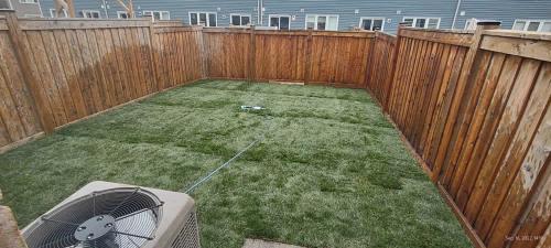 2023-Sod-Turf-49-Whitby-Landscaping