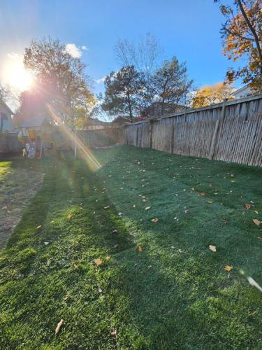 2023-Sod-Turf-5-Whitby-Landscaping