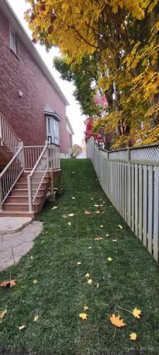2023-Sod-Turf-55-Whitby-Landscaping
