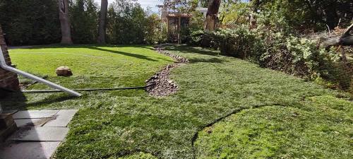 2023-Sod-Turf-57-Whitby-Landscaping
