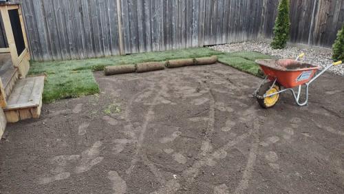 2023-Sod-Turf-6-Whitby-Landscaping